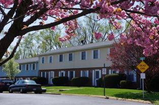 Surrey Court  Town Houses - Photo 1 of 1