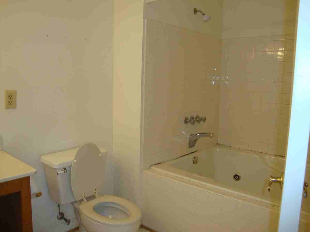 703 Todd Trl - Photo 6 of 11