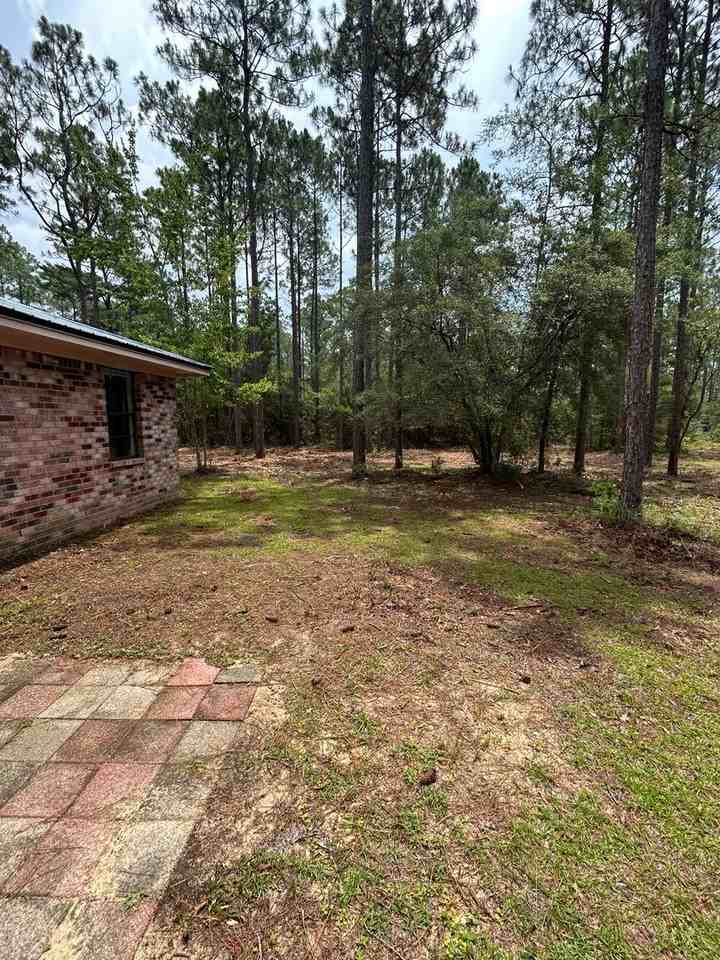 159 Hawthorn Rd - Photo 6 of 21