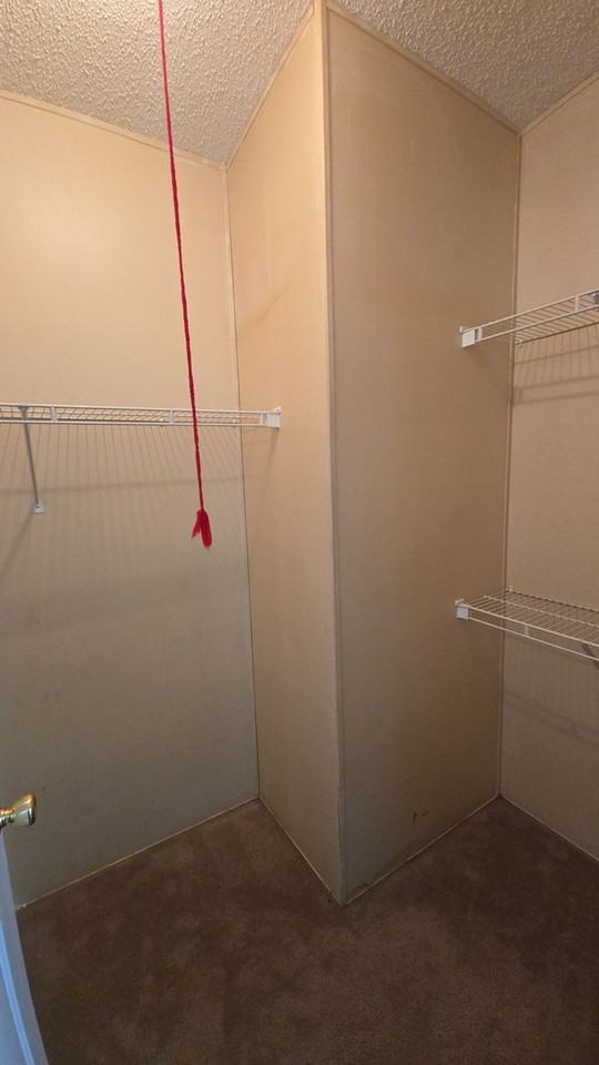 264 Williams Rd - Photo 4 of 15