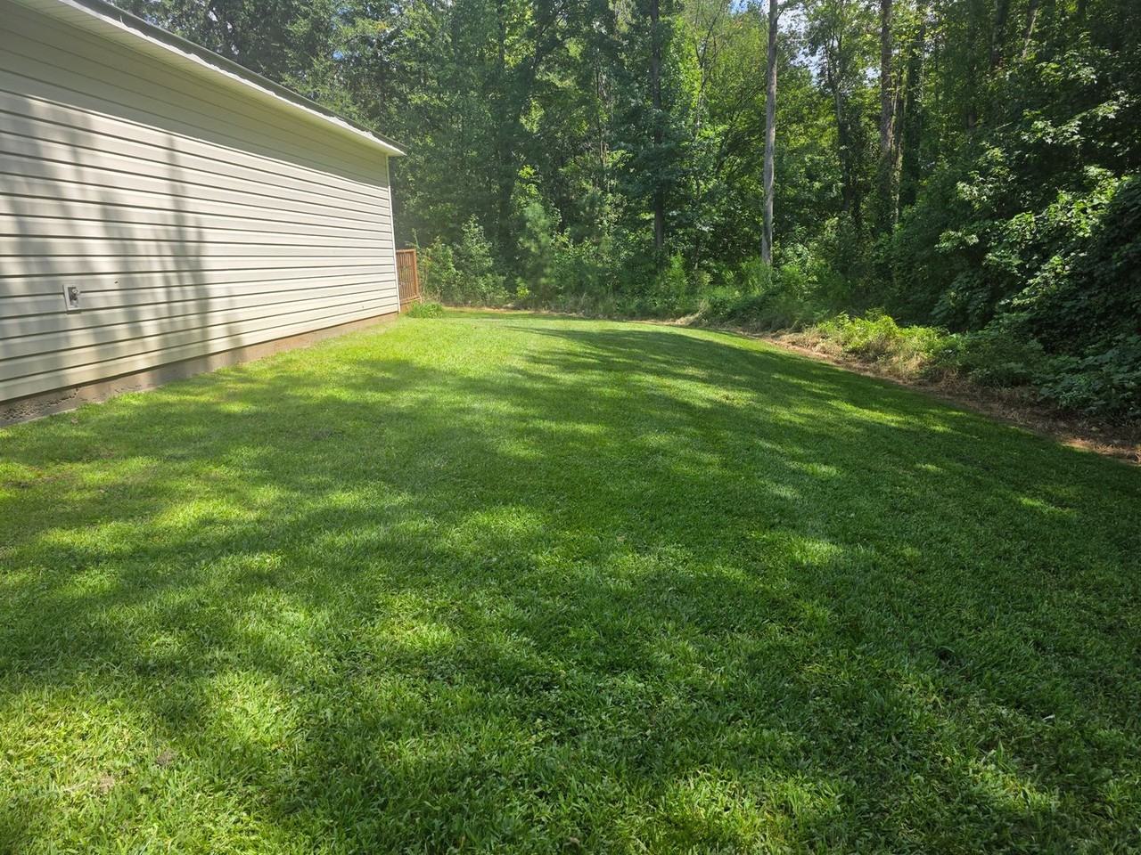 319 Alice Ave - Photo 3 of 12