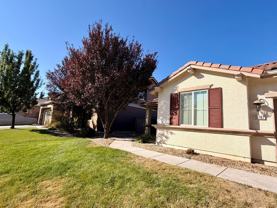 10787 Grayslake Dr - Photo 1 of 1