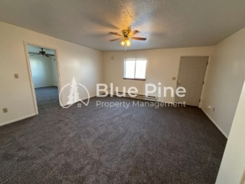 2141 Meppen Dr - Photo 2 of 13