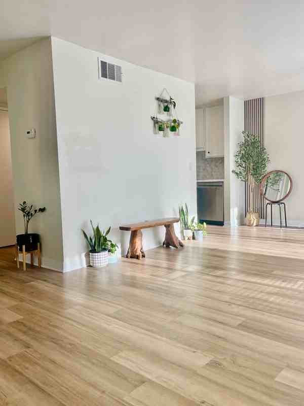 211 Apollo #4 - Photo 7 of 24