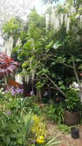 10559 Evanston Ave N #MIL - Photo 1 of 1