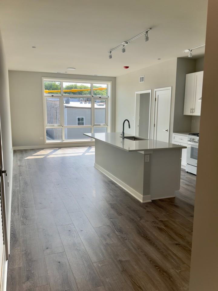 2807 S Halsted St #309 - Photo 2 of 22