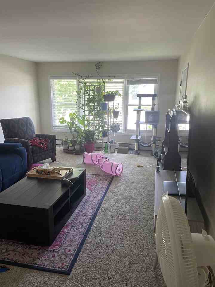 250 Wayne Ct #2 - Photo 5 of 7