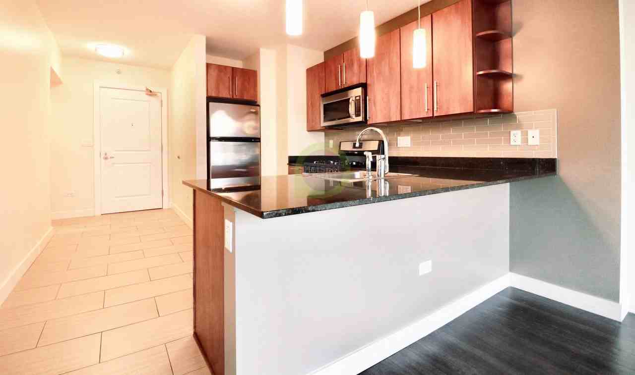 259 W Erie St #1102 - Photo 2 of 20
