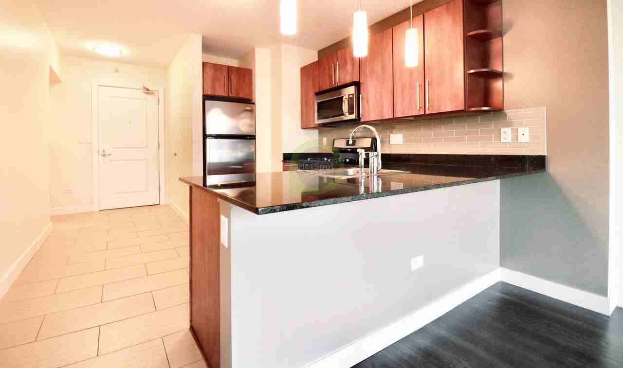 205 W Erie St #0808 - Photo 2 of 16