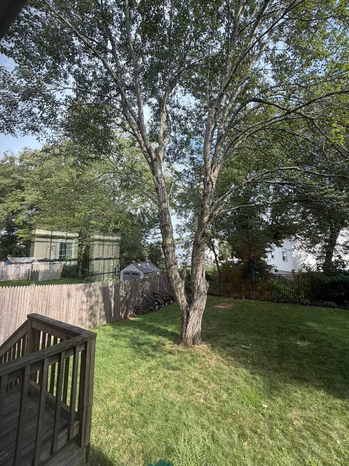 23 Kern Dr - Photo 3 of 17