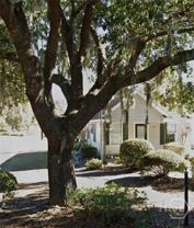 9830 Whitefield Ave - Photo 1 of 1