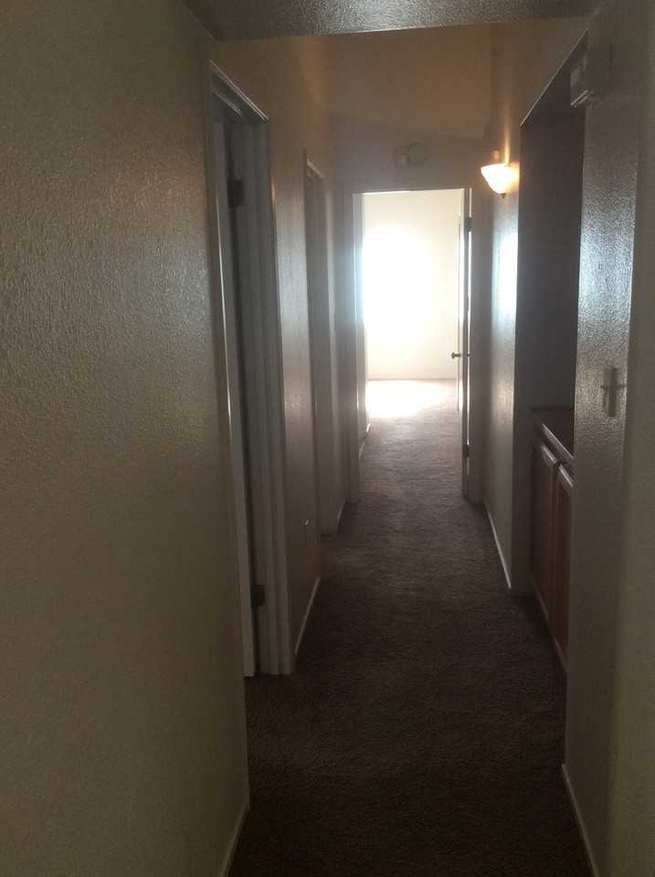 7314 Sandrinilla St - Photo 6 of 10