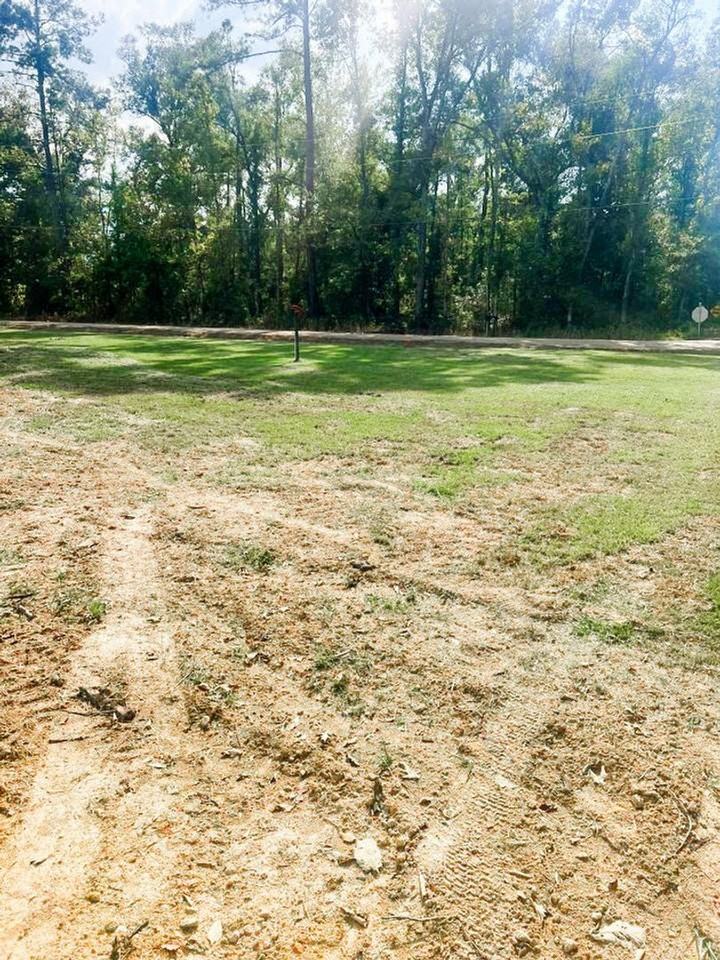 28262 Pecan St - Photo 4 of 11