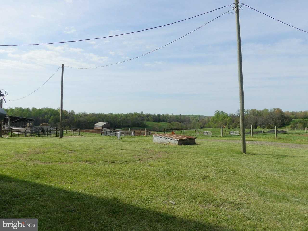 792 Willis Rd - Photo 5 of 42