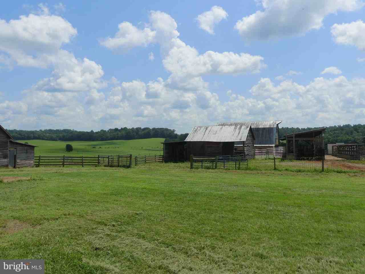 792 Willis Rd - Photo 6 of 42