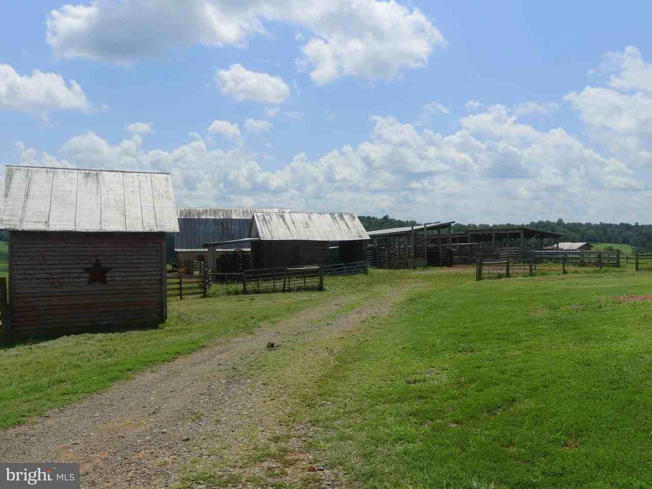 792 Willis Rd - Photo 7 of 42