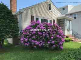 featured image of Loring St