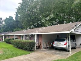 featured image of 310 W Ray Dr #1