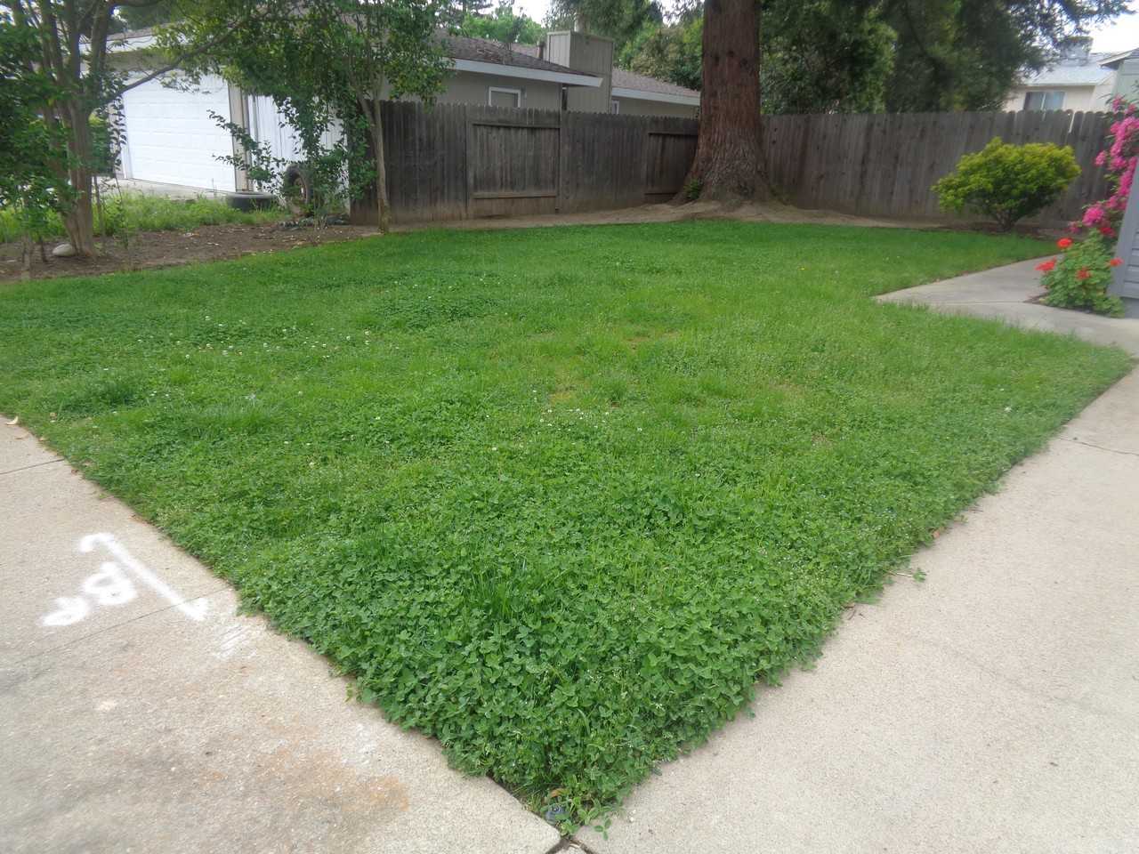1170 Forestwood Dr #1170 - Photo 2 of 12
