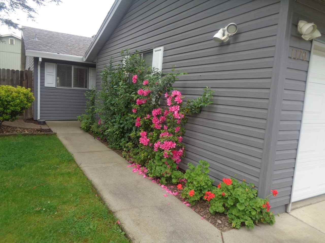 1170 Forestwood Dr #1170 - Photo 3 of 12