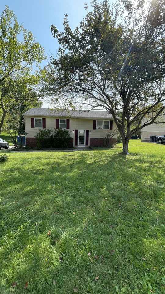 412 Mary St #NA - Photo 2 of 29