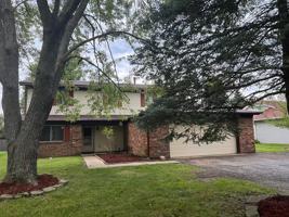featured image of 317 Thistle Dr #NA