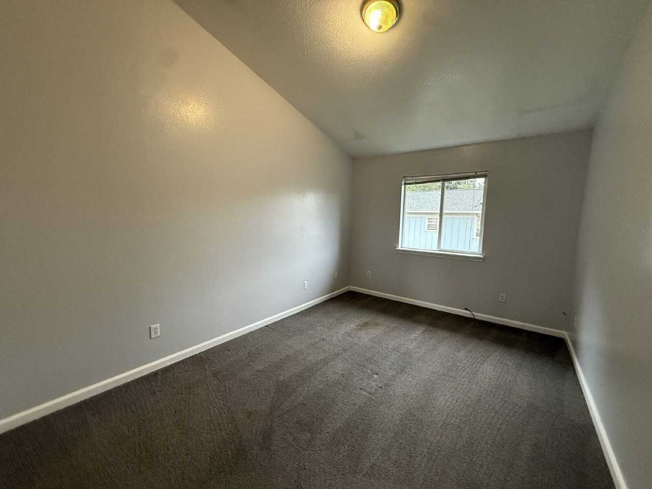 533 Autumn Ave - Photo 6 of 19