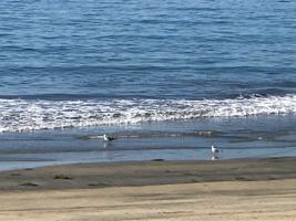 featured image of 1334 W Balboa Blvd