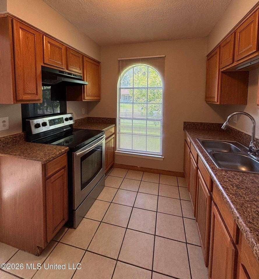 2536 El Viernes St - Photo 4 of 13