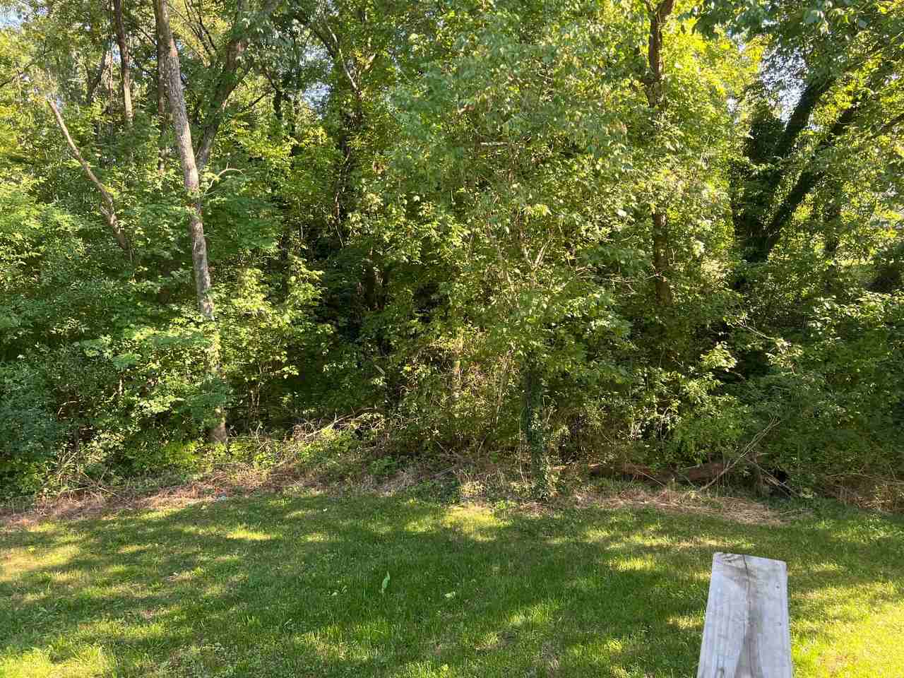 912 2nd St - Photo 3 of 50