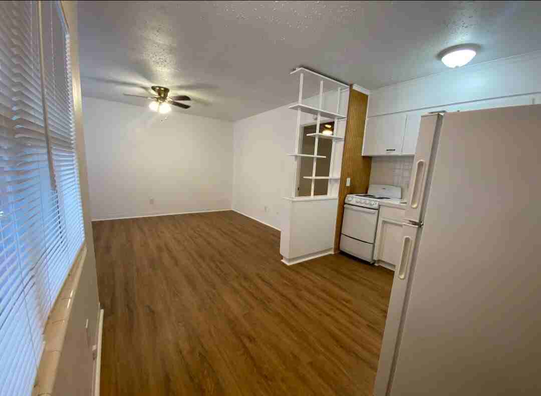 916 E Lime St #E - Photo 4 of 11