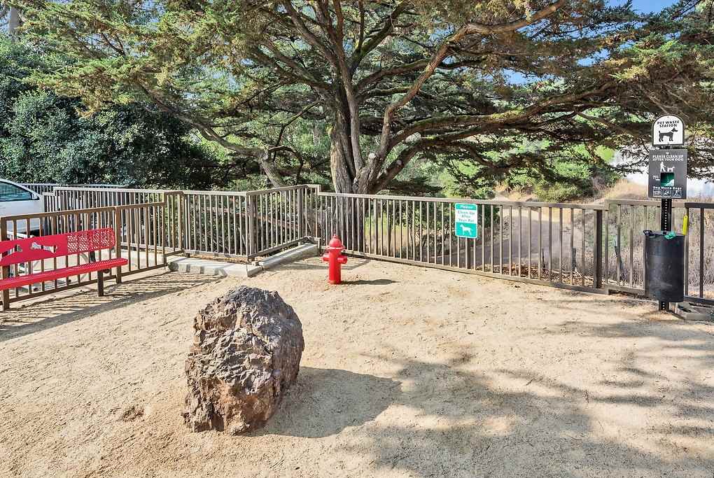 Belmont Terrace - Photo 5 of 39