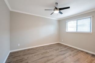 2 bedroom 1 bath in Boutique property! - Photo 1 of 1