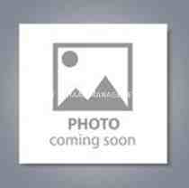 614 Newport Ave - Photo 1 of 1