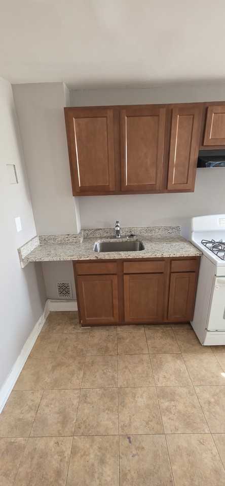 2528 Druid Hill Ave #2 - Photo 6 of 9