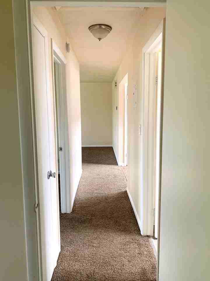Palatine Park Apartments - Photo 6 of 9