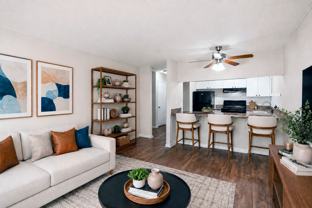 Belmont Place - Photo 1 of 1
