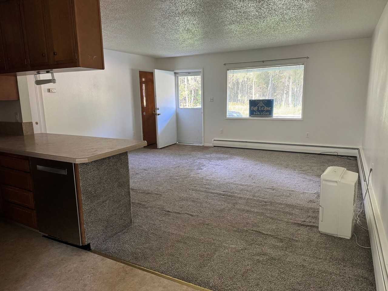 532 E 72nd Ave - Photo 3 of 9