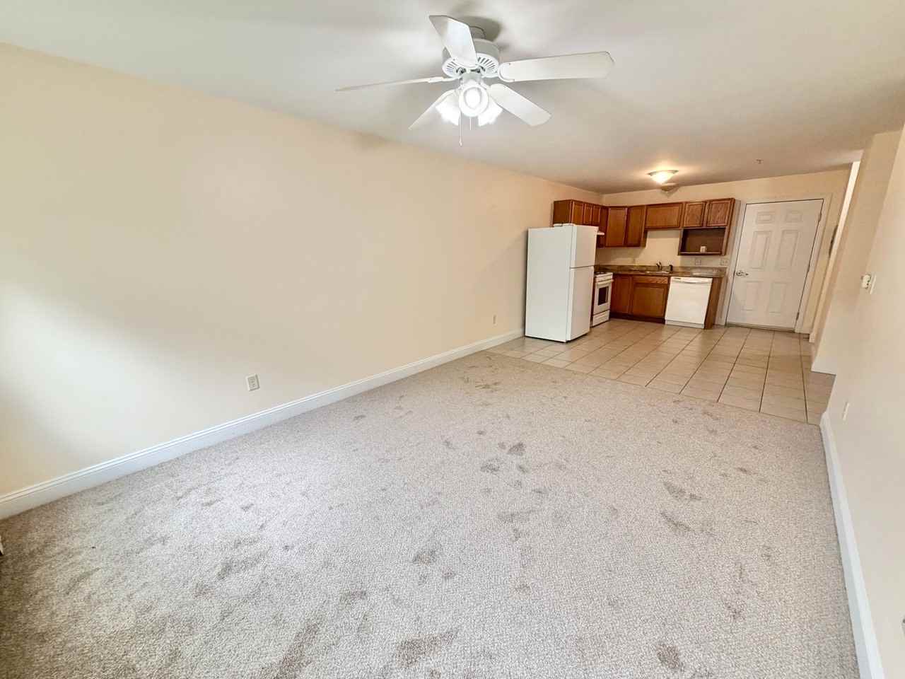 235 Pearl St - Photo 3 of 15