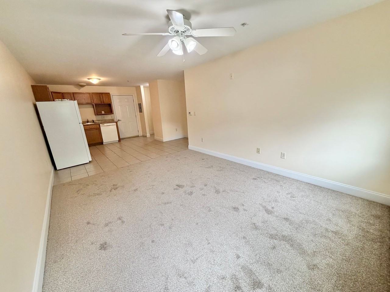 235 Pearl St - Photo 4 of 15
