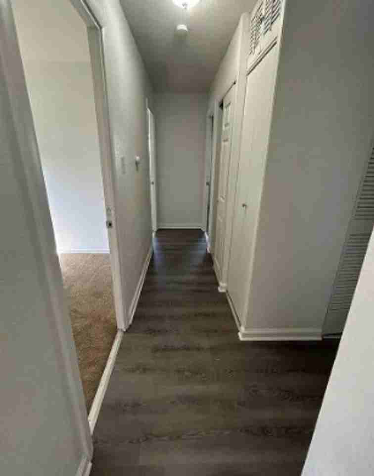 519 Saint Leo Dr - Photo 5 of 5