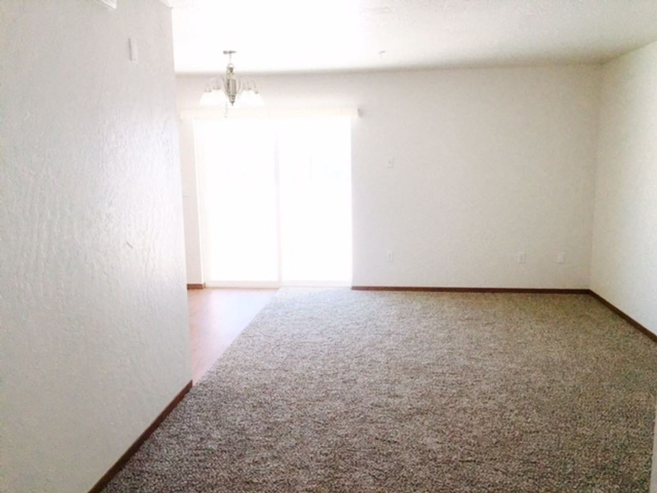 Spacious 2 Bed / 1 Bath Apartment in Post Falls, ID! - Photo 5 of 13