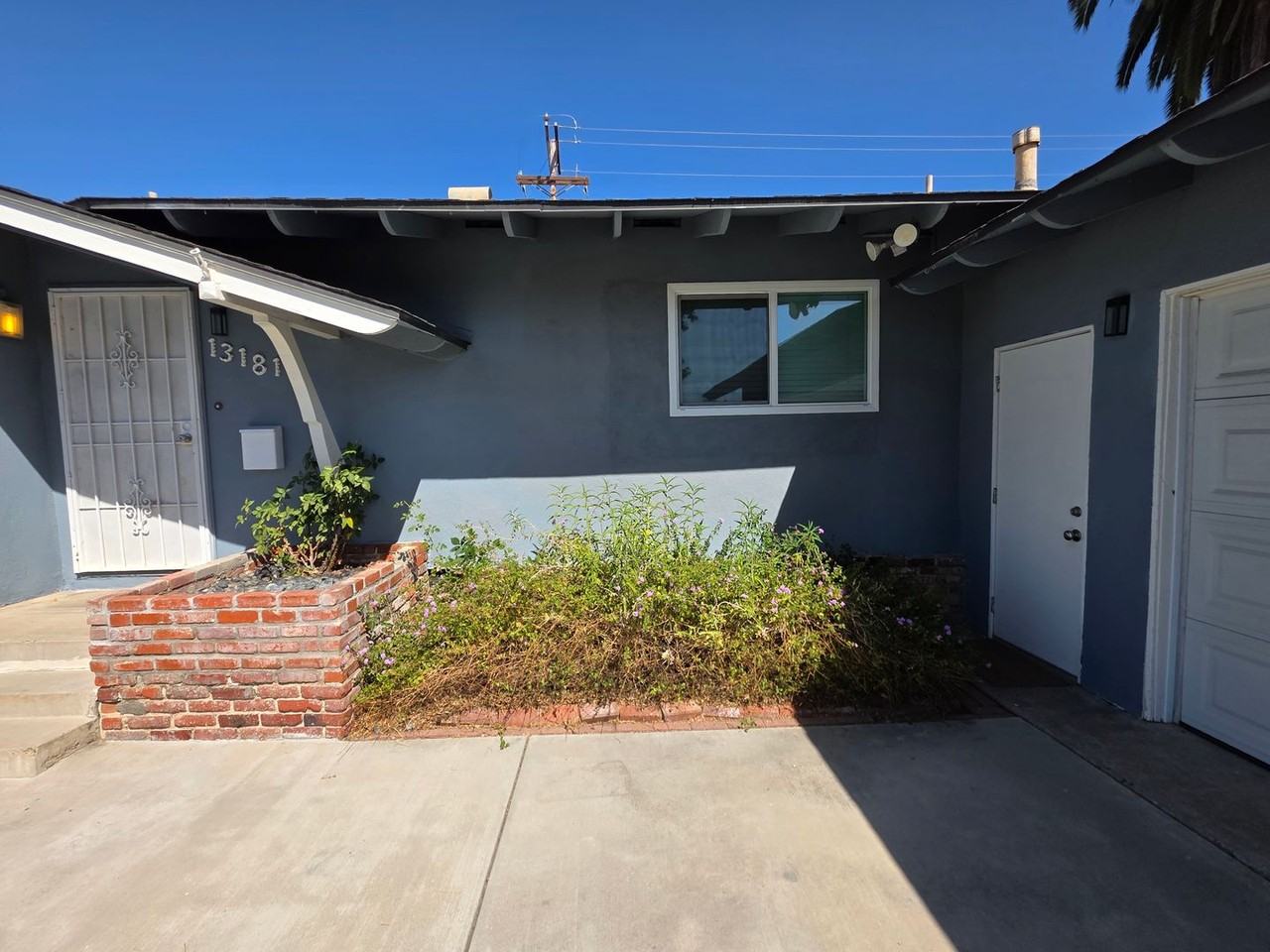 13181 Chirping Sparrow Way - Photo 2 of 10