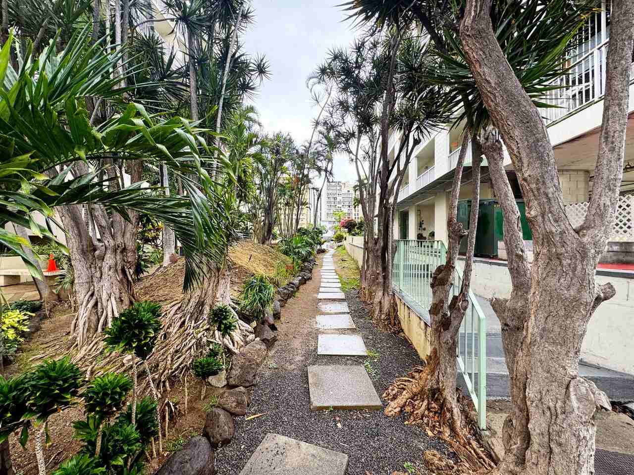 249 Kapili St #203 - Photo 5 of 7