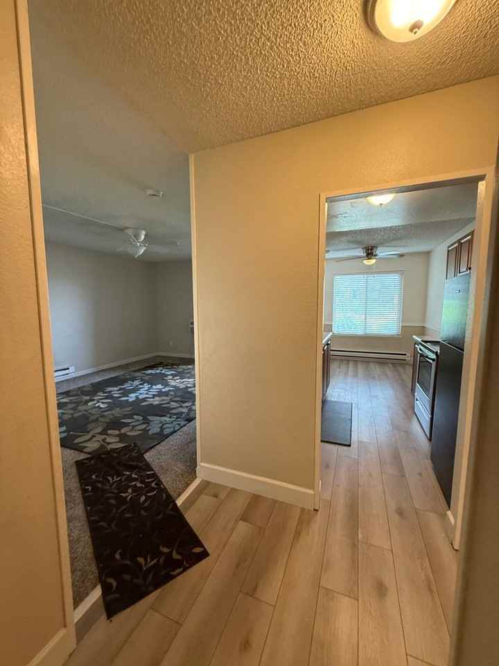 3855 E Leonesio Dr #B1 - Photo 2 of 11