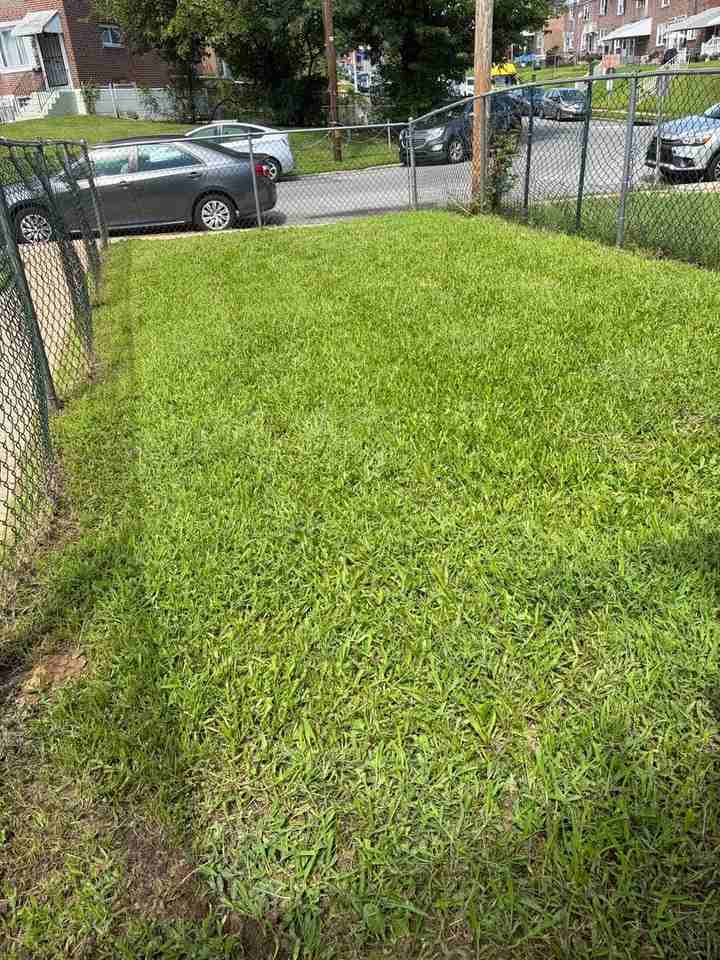 306 Tribet Pl - Photo 4 of 24
