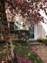 704 Mount Vernon Ave - Photo 1 of 1