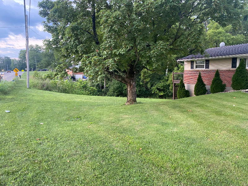 6187 Branch Hill Guinea Pike - Photo 2 of 12