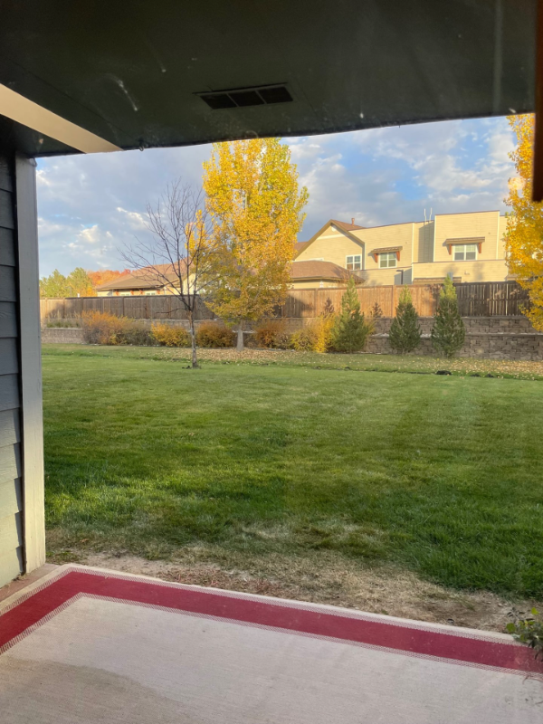 3500 Rolling Green Dr #D19 - Photo 5 of 14