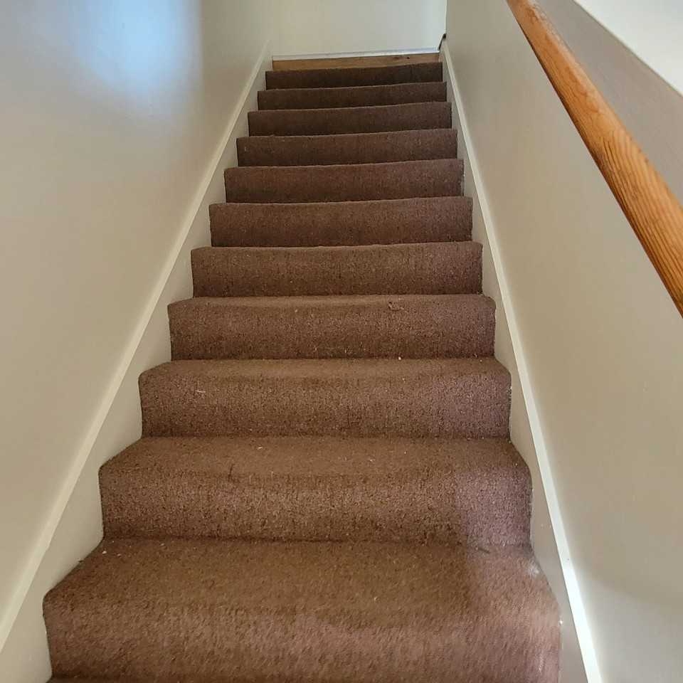 384 College St #4 - Photo 4 of 8